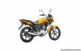 /album/galeria-de-fotos-honda-cg-150-titan1/cg-150-titan-2-jpg1/